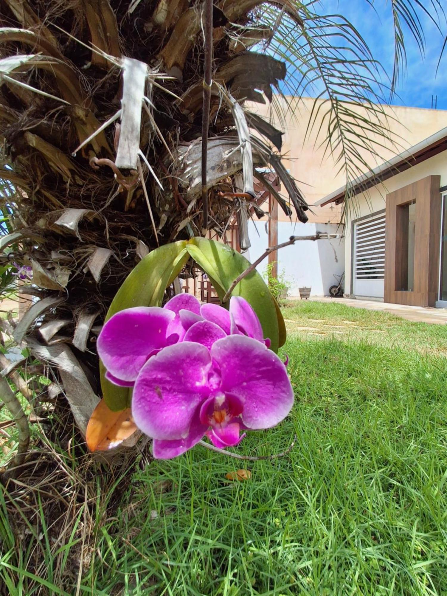 Casa Com Piscina Na Praia De Peroba มาราโกจี ภายนอก รูปภาพ