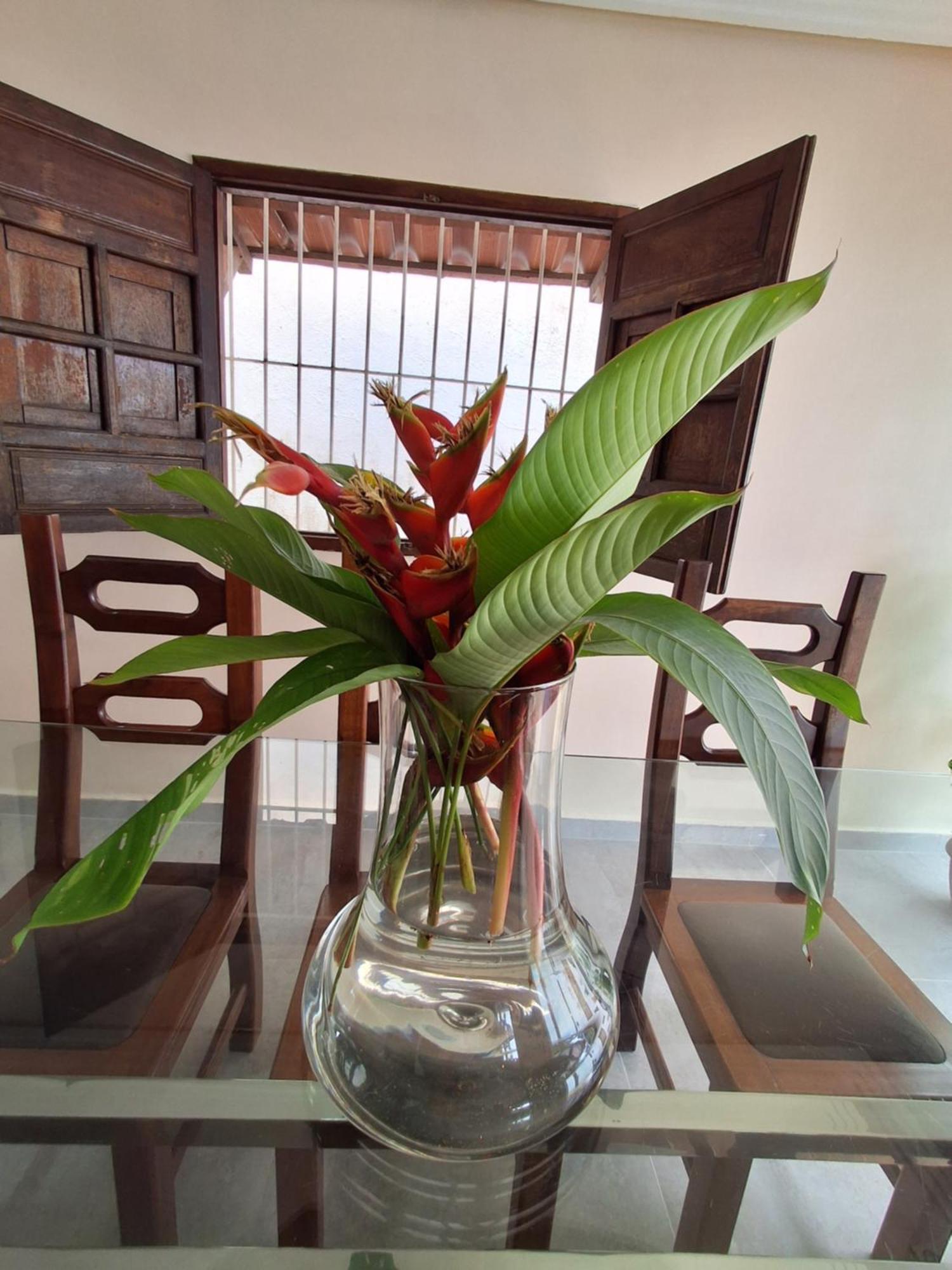Casa Com Piscina Na Praia De Peroba มาราโกจี ภายนอก รูปภาพ